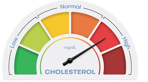 Cholesterol Explained Tufts Health Nutrition Letter