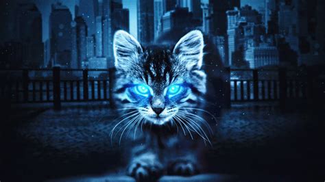 1366x768 Cat Glowing Eyes 4k 1366x768 Resolution Hd 4k Wallpapers