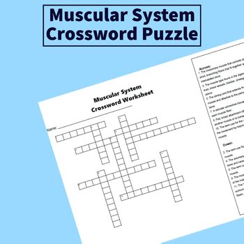 Human Muscular System Crossword Puzzle By Dental Education Hub Tpt