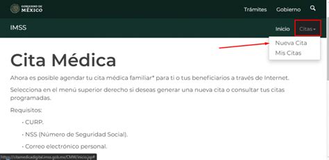 Cómo conseguir una cita en el IMSS Tutorial completo