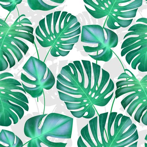 Vector Tropical Palm Leaves Seamless Pattern Floral Exotic Hawaiian