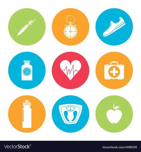 Colorful Set Of Element Sport Healthy Icons Vector Image