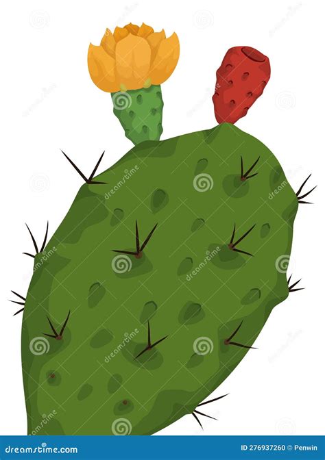 Close Up View Of A Nopal With Flower And Fruit Vector Illustration