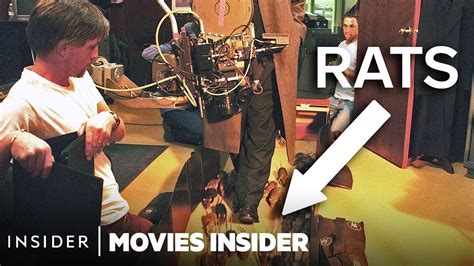 How Rats Are Trained For Tv And Movies Movies Insider Youtube