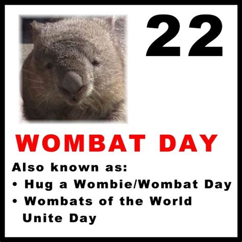 The Red Wombat Hole: Wombat Day! Wombats of the world unite!