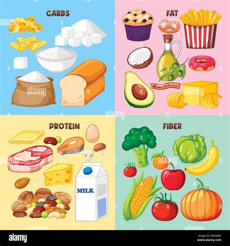 Protein Food Groups Stock Vector Images Alamy