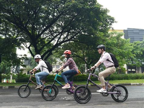 Mini Velo Singapore Complete Guide For Beginners Rodalink