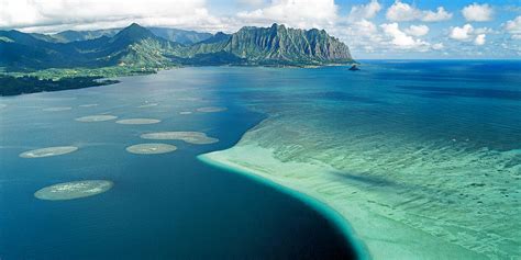 Kaneohe Sandbar Photograph by James Roemmling - Pixels