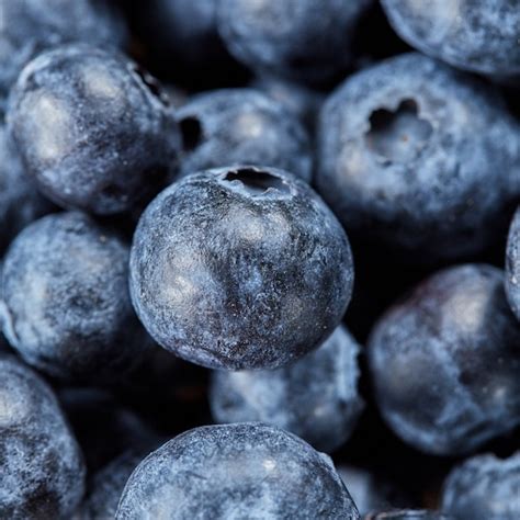 Fondo De Arándanos Orgánicos Naturales Frutas Recién Cosechadas Macro