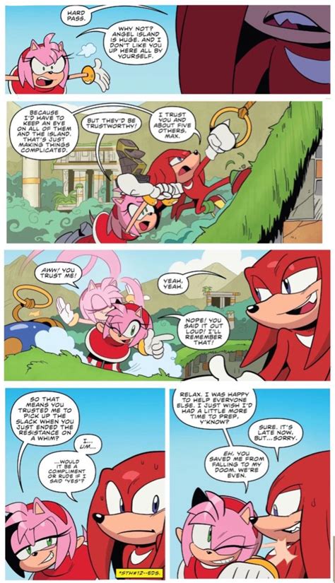 Knuckles And Amy Idw Sonic Funny Sonic And Knuckles Sonic Franchise