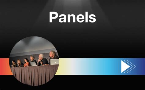 Panels Siggraph 2024