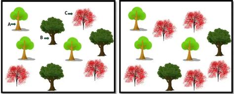 Community - Definition, Types, Characterisitcs, Importance - Biology Notes Online