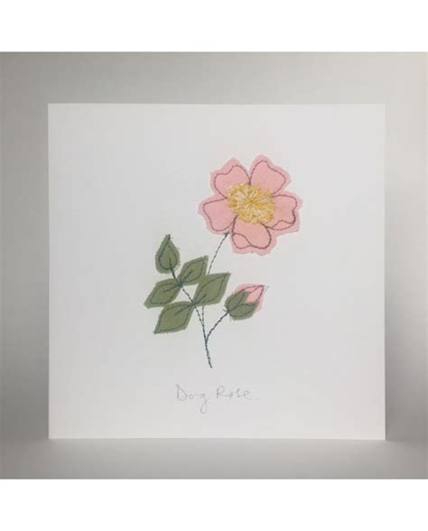 Floral Notecards Sarah Becvar Design