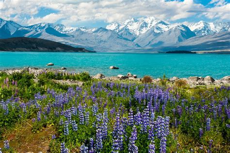 Southern Alps