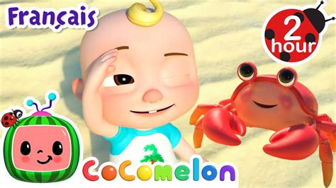 Les Animaux De La Plage Chansons Pour B B S Cocomelon Le Coin Des