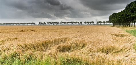 Het Weer Grijs Nat En Fris Meeste Regen Valt In Het Oosten De