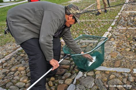 Rivers of Asturias: sport fishing Asturias | asturias.com