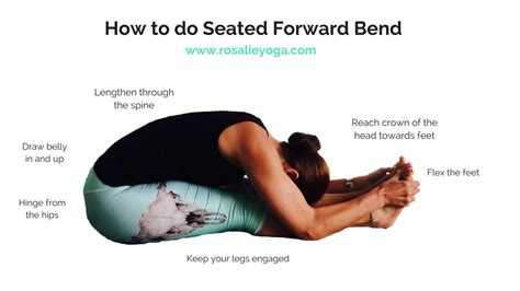 Beginners Yoga How To Do Seated Forward Bend Youtube