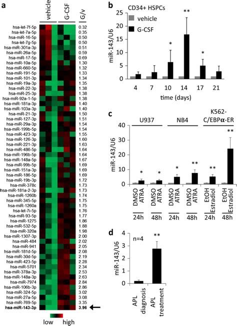 Microrna Targets Erk In Granulopoiesis And Predicts Outcome Of