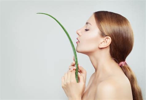 Cómo usar el aloe vera en el pelo Beneficios y remedios caseros