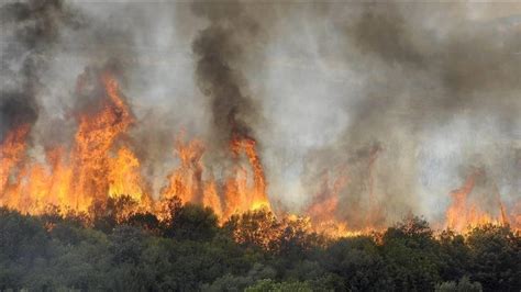 Algérie 39 Foyers Dincendie De Forêts Enregistrés Ce Mercredi Au Nord