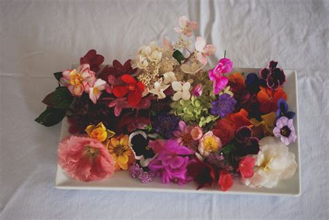 The Lived Flower — Transactions With Beauty