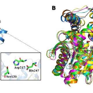 3D Structure Model Of E69 And Structural Superimposition With Other