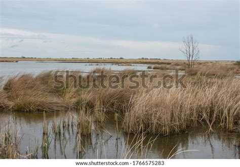 14 Ermak Island Royalty-Free Images, Stock Photos & Pictures | Shutterstock