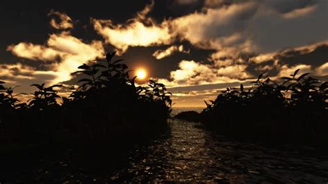 island sunrise | Creazilla