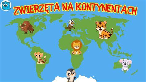 Zwierz Ta Na Kontynentach Film Edukacyjny Dla Dzieci Po Polsku Youtube