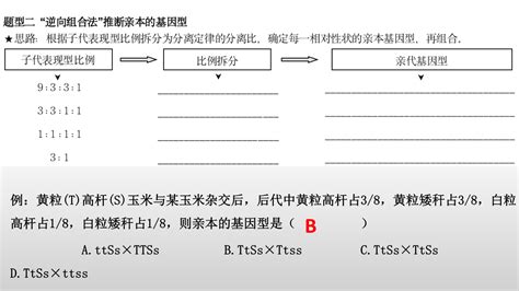 2024届高三生物一轮复习课件第28、29课时 基因自由组合定律重点题型突破正确云资源