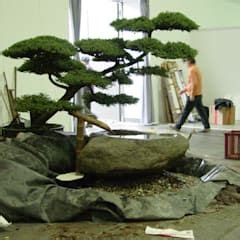 Gartengestaltung Unter Anwendung Der Japanischen Gartenkunst Homify