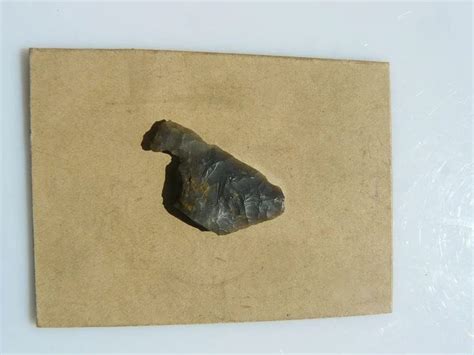 19 Most Valuable Rare Arrowheads: Type, Material & Value