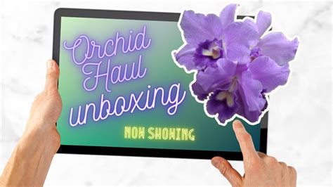 Unboxing Orchid Haul From Akatsuka Orchid I Had To Have July 2023