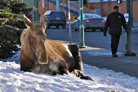 Explore Anchorage Alaska On This Virtual Tour