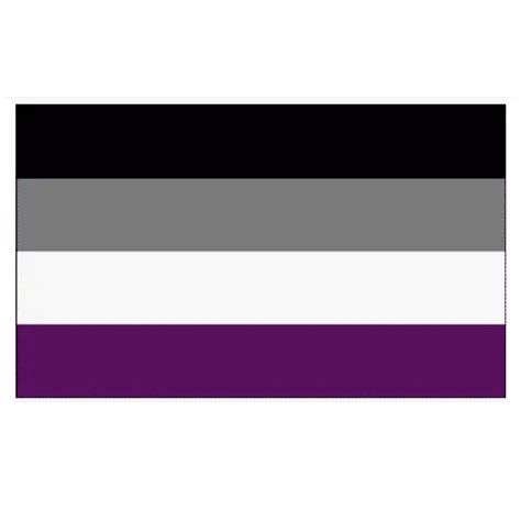 Asexual Ace Pride Flag 3x5 With Grommets Etsy