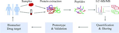 Integrated View Of Lc Msms Proteomics Workflow For Cancer Biomarker