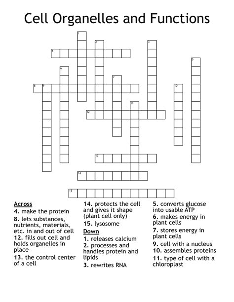 Cell Organelles And Functions Crossword Wordmint