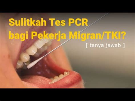 Test PCR Untuk Pekerja Migran TKI Di Malaysia YouTube