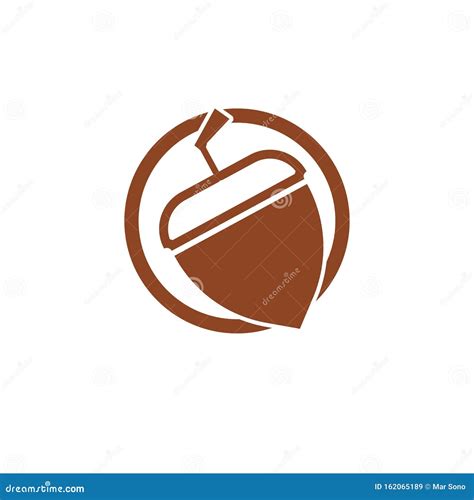 Acorn Logo Ilustration Vector Template Stock Vector Illustration Of