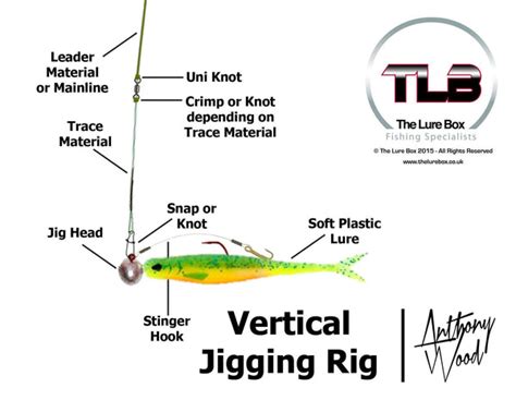 Vertical Jigging Rig Diagram | Lure Fishing Technique | The Lure Box ...