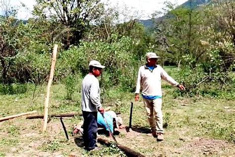 Hay Mil Hect Reas Que Necesitan Con Urgencia Una Labor De