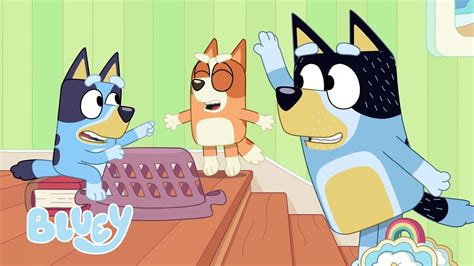 Hotel Episodio Intero Di Bluey Bluey Italiano Canale Ufficiale