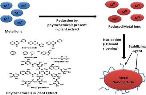 Nanoparticle Consistency Mechanism By Plant Leaf Extract