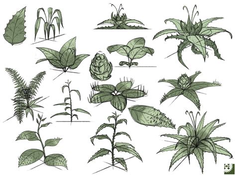 Plants Drawing at GetDrawings | Free download