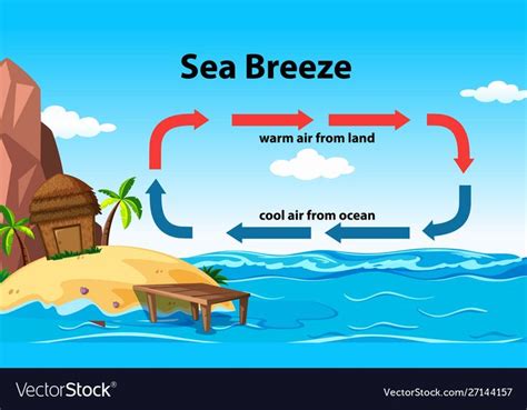 Science Poster Design For Sea Breeze Vector Image On Vectorstock