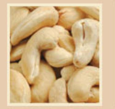 Cashew Kernels Scorched Wholes Sw At Best Price In Kollam