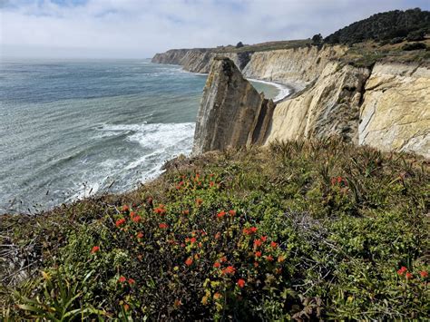 Pelican Bluffs Trail Visit Mendocino County