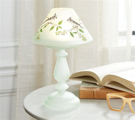 Valerie Parr Hill As Is Bird And Floral Handpainted Glassaccent Lamp