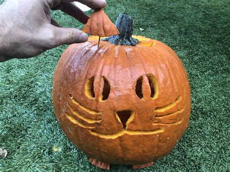 Easy Cat Pumpkin Carving Ideas